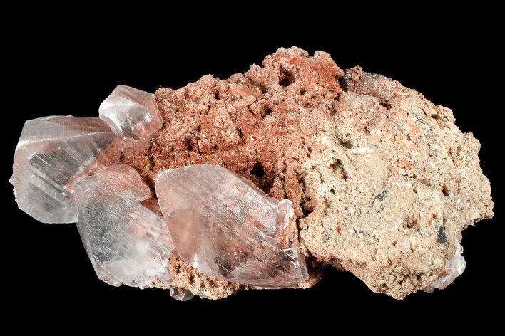 Glassy Selenite Crystals on Matrix - Naica Mine, Mexico #372167